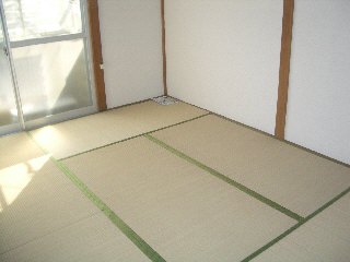 Living and room. Japanese style room