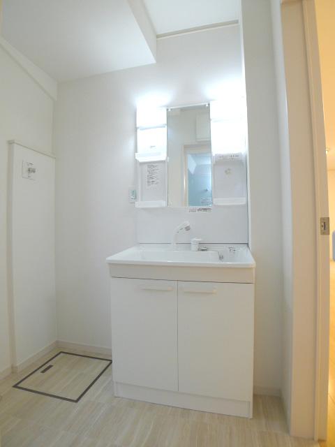 Same specifications photos (Other introspection). Wash room (complete construction cases)