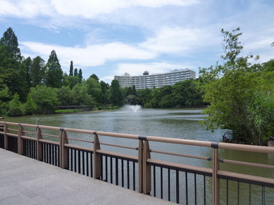 park. 1100m to Inokashira Park (park)