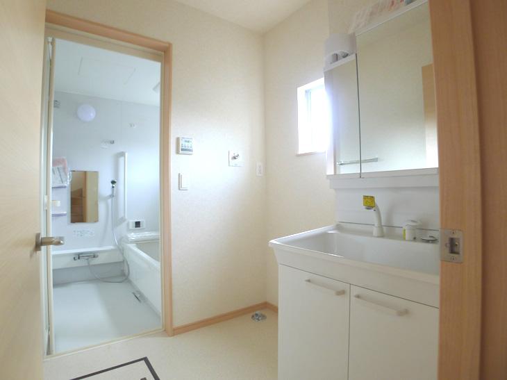 Same specifications photos (Other introspection). Wash room (complete construction cases)
