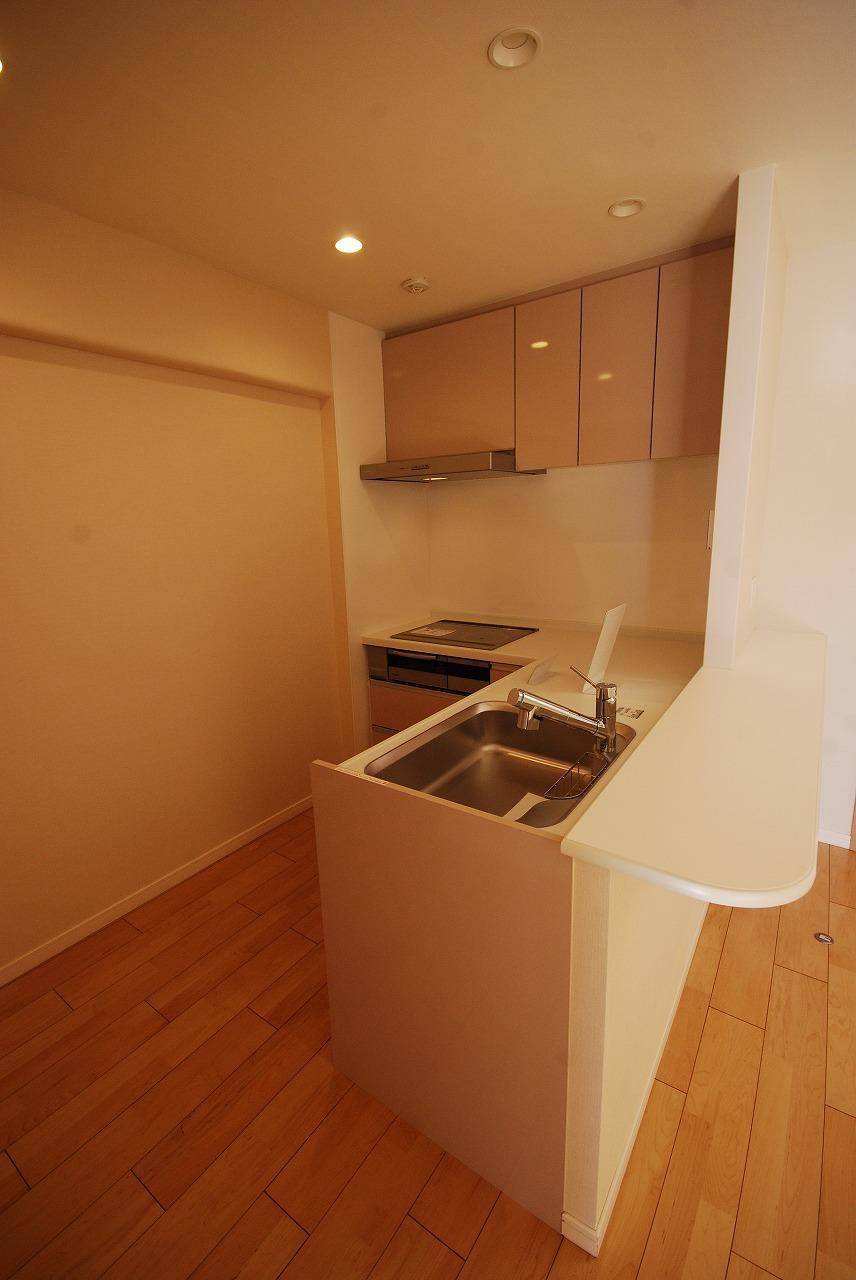 Kitchen. Indoor (12 May 2013) Shooting