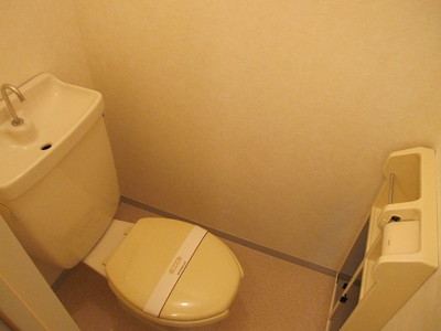 Toilet. Your toilet