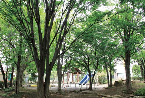 park. Toei Jindaiji 320m to children amusement