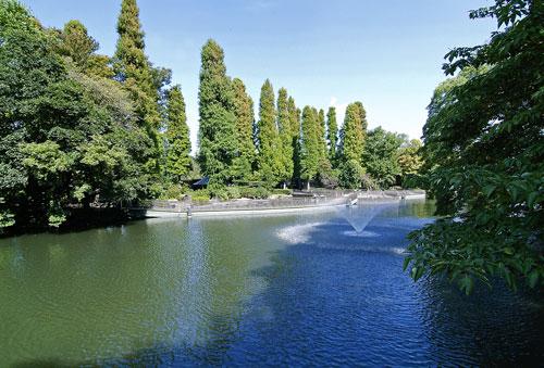 park. Metropolitan Inokashira Park: bicycle about 17 minutes (4040m)