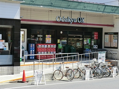 Supermarket. Odakyu 1400m to OX (super)