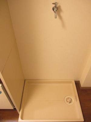 Washroom. Indoor Laundry Storage