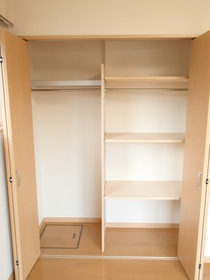 Other. Easy-to-use closet also comes with shelf