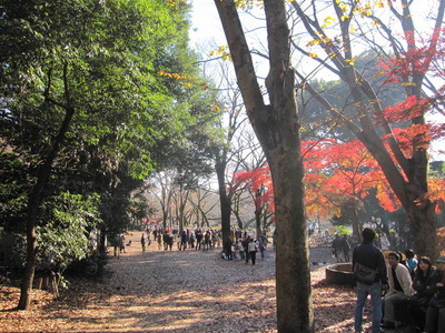 park. 336m to Inokashira Park (park)