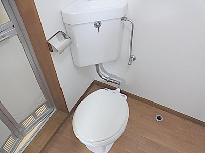 Toilet. Toilet