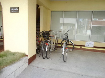 Parking lot. Bicycle-parking space