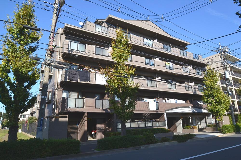 Local appearance photo. Local (11 May 2013) Shooting