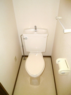 Toilet. Separate toilet