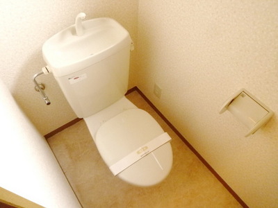 Toilet. Toilet