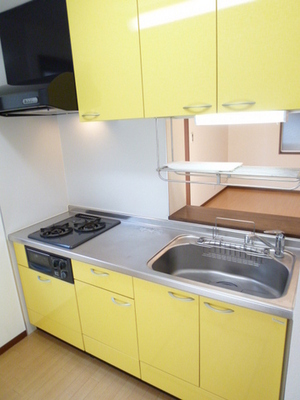 Kitchen. Two-necked gas stove and the system kitchen with grill!