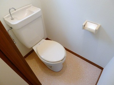 Living and room. Toilet