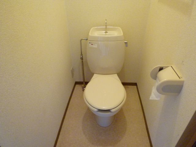 Toilet. Toilet