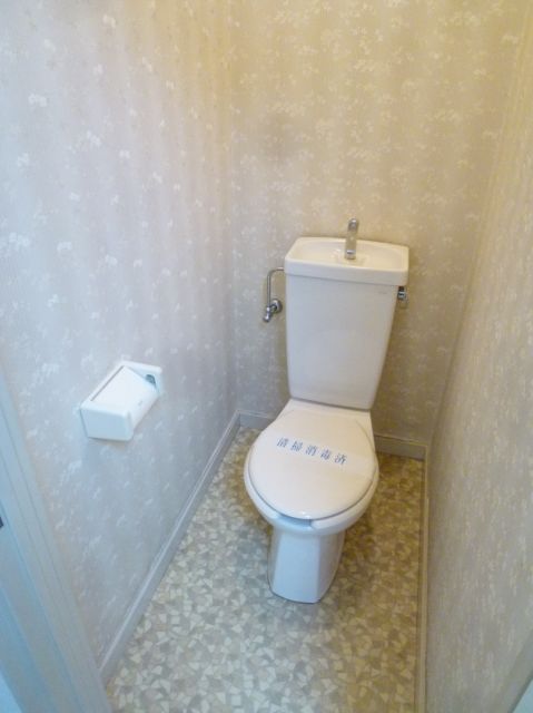 Toilet. Stylish wallpaper is attractive. 