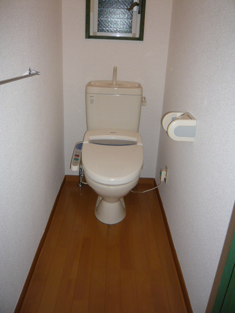 Toilet. With cleaning function heating toilet seat