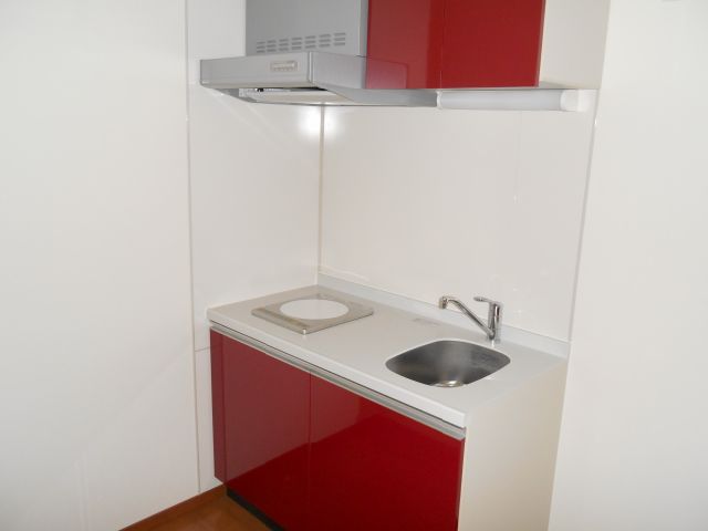 Kitchen. Red is cute IH heater kitchen