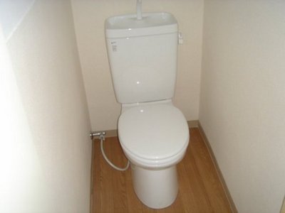 Toilet. This is a separate toilet