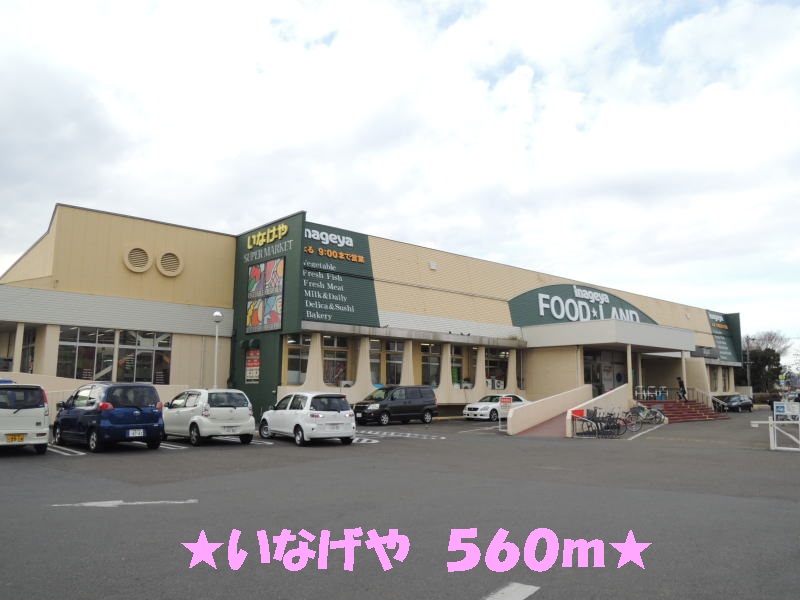 Supermarket. Super Inageya to (super) 560m