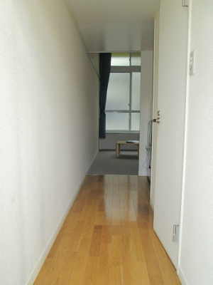 Other room space. Corridor is the flooring. 