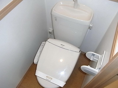 Toilet. With cleaning toilet seat