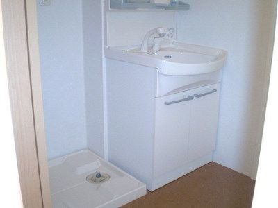 Washroom. Shampoo dresser