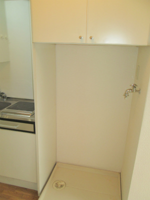 Other room space. It is indoor washing machine Storage. 