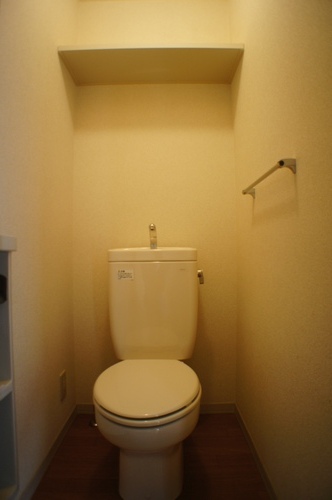Toilet. It can accommodate the daily necessities to the top