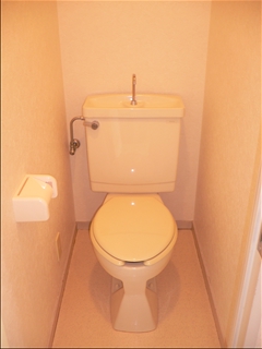 Toilet. Toilet