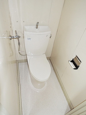 Toilet. Toilet