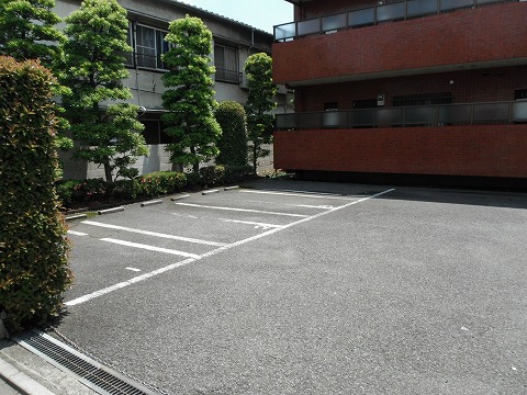 Parking lot. It is on-site parking (another contract)