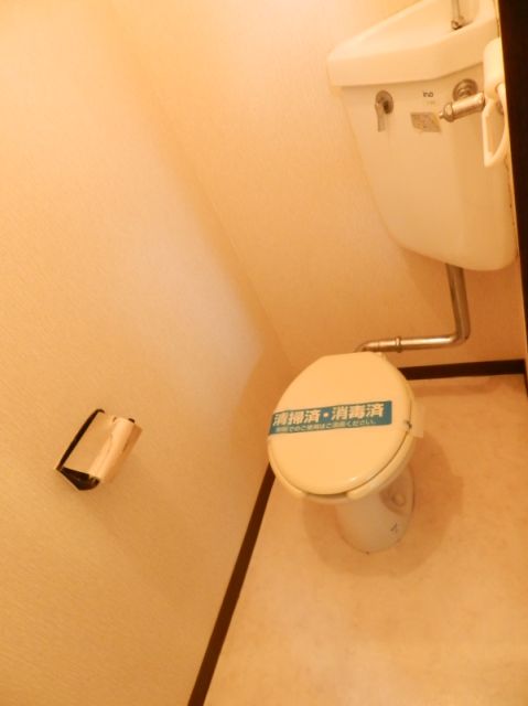 Toilet. Toilet