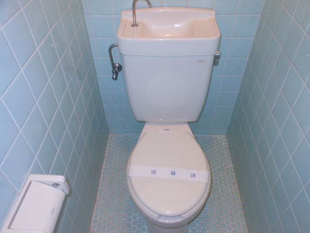 Toilet. Toilet there is a feeling of cleanliness