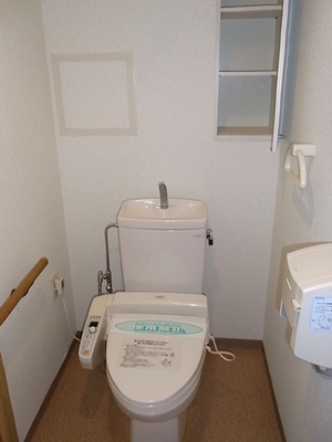 Toilet. Bidet