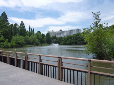 park. 600m to Inokashira Park (park)