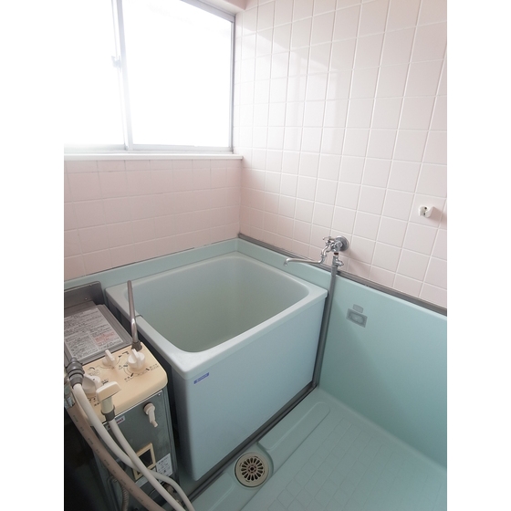 Bath. Bathroom
