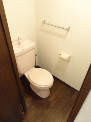 Toilet. Toilet
