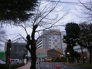 Hospital. Musashinosekijujibyoin until the (hospital) 428m