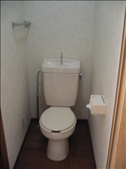 Toilet. Toilet