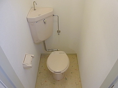 Toilet. Toilet