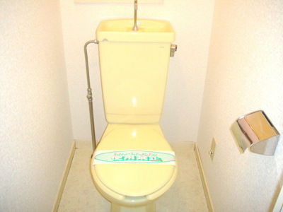 Toilet. Toilet