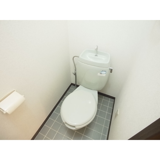 Toilet. Toilet