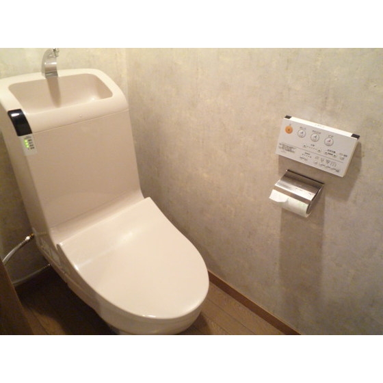 Toilet