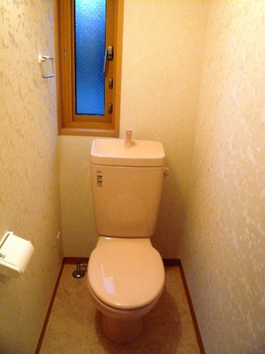 Toilet. It is a toilet with a small window.