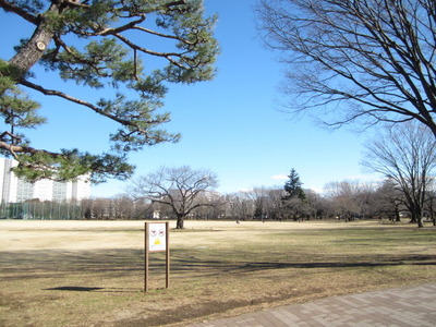 park. 550m to Central Park Musashino (park)