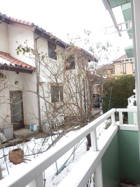 Other. A view from the window