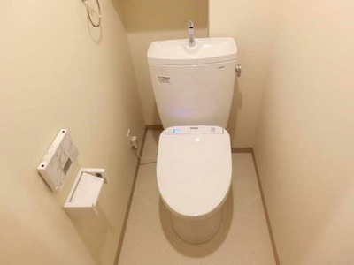 Toilet. Toilet