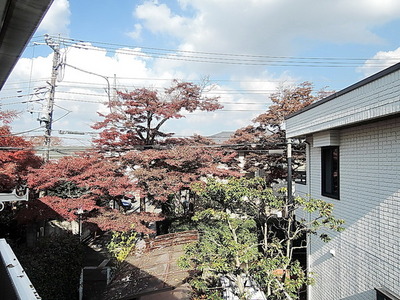 View. View
